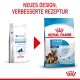 Zwei Hundefutterbeutel: "Pediatric Starter" und "Royal Canin Starter Mother & Babydog," mit einem roten Pfeil, der ein neues Design hervorhebt.