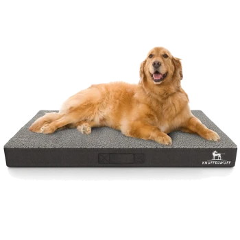 Ein Golden Retriever liegt bequem auf einem plüschigen, grauen Hundebett mit schwarzem Boden, mit dem Markennamen "KNUFFELWUFF" an der Seite.