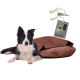 Ein schwarz-weißer Border Collie liegt auf einem braunen Hundebett, mit einem Etikett, das " + Kotbeutel Set" sichtbar darüber zeigt.