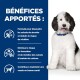 Un chien duveteux avec un collier bleu est assis à droite ; le texte à gauche met en avant les avantages des produits pour animaux pour la santé de la vessie et les pierres de struvite.