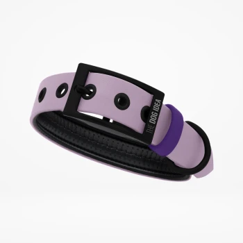 Ein stilvolles lavendelfarbenes Hundehalsband mit einer schwarzen Schnalle und lila Akzenten, mit dem Text "THE DOG IDEA" auf der Schnalle.