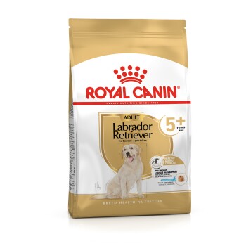 Labrador Retriever 5+ Adult 12 kg