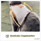 Ein grauer Hund in einem atmungsaktiven Netzgeschirr mit orangefarbenen Akzenten und einem Anhänger mit der Aufschrift "plupet." Der Text darunter sagt "Maximaler Tragekomfort."