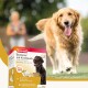 Beaphar 'Bonbons' mit Knoblauch honden traktatie doos met een zwarte hond op de voorkant, met knoflook en Omega 3&6 benadrukt.