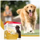 Beaphar 'Bonbons' mit Knoblauch Hundeleckerlis Box mit einem schwarzen Hund auf der Vorderseite, mit Knoblauch und Omega 3&6 hervorgehoben.