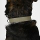 Biothane Halsband Beige neon gelb XXL