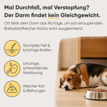 Dose Milo & Mia Senior-Hundefutter mit 'Kalb, Kürbis & Hirse' (Kalbfleisch, Kürbis & Hirse) mit einem Cartoon-Hund, frischem Fleisch, Kürbis und Hirse.