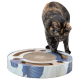 Eine schildpattfarbene Katze interagiert mit einem kreisförmigen, gemusterten Kratzspielzeug mit Ausschnitten und einem strukturierten Zentrum.