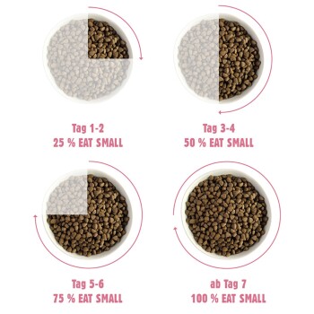 Bild, das vier Schalen mit Haustierfutter mit unterschiedlichen Mengen zeigt: Tag 1-2 (25%), Tag 3-4 (50%), Tag 5-6 (75%), Tag 7 (100%) mit dem Text "KLEIN ESSEN."
