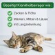 Eine entspannte getigerte Katze auf einer weißen Oberfläche, mit Text darüber, der Krankheitsträger auflistet: Zecken, Flöhe, Mücken, Milben und Läuse.