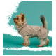 Ein kleiner Hund, ein Yorkshire Terrier, der einen gemütlichen beigen Fleece-Anzug trägt, vor einem türkisfarbenen Hintergrund steht.