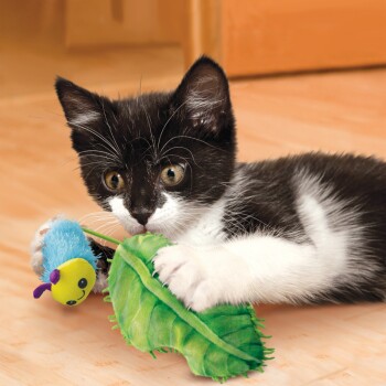 Eine verspielte schwarz-weiße Katze liegt auf einem Holzboden und hält ein grünes blattförmiges Spielzeug mit ihren Pfoten, während ein blauer Raupen-Spielzeug in der Nähe liegt.