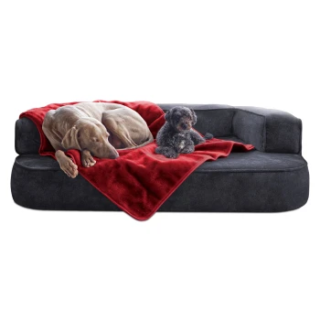Ein großer grauer Hund und ein kleiner schwarzer Hund ruhen sich auf einer plüschigen grauen Couch aus, die mit einer roten Decke bedeckt ist.