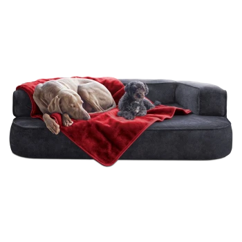 Ein großer grauer Hund und ein kleiner schwarzer Hund ruhen sich auf einer plüschigen grauen Couch aus, die mit einer roten Decke bedeckt ist.