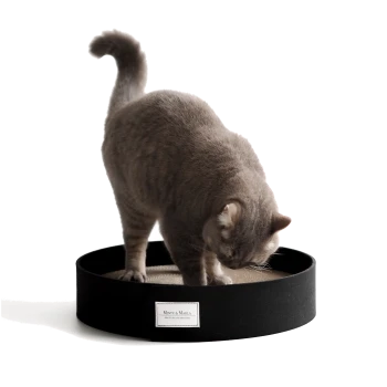 Eine graue Katze steht in einem runden schwarzen Kratzpad mit einer strukturierten Oberfläche, beschriftet mit "Minty & Marla."