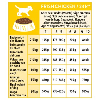 Gelbe Fütterungstabelle 'FRISCH CHICKEN / 24h**' mit Welpensilhouette, Schüssel-Icon und Tabelle mit Hundewicht und täglichen Grammangaben.