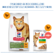 Duo Hill's Science Plan kattenvoer: droge zak en natte pouch Senior Vitality Mature Adult 7+ Kip & Rijst; Nederlandse koptekst.