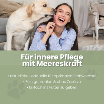 Verpacktes Algenpulver für Hunde und Katzen, gekennzeichnet mit "ALPHAZOO Care", das Vorteile wie 100% natürlich, Jodquelle und keine Zusatzstoffe hervorhebt.