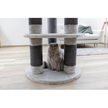 Graue Scottish Fold Katze mit gelben Augen sitzt in einem grau-schwarzen Kratzbaum in einem modernen Wohnzimmer.