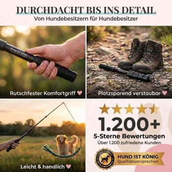 Eine Frau in einer grünen Jacke spielt mit einem Golden Retriever auf einer grasbewachsenen Fläche. Text: "ULTIMATIVER SPIELSPASS FÜR GROßE & KLEINE HUNDE."