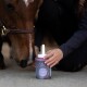 Nahaufnahme des Gesichts eines Pferdes neben einer Person, die einen lila Behälter mit "Speed Hoof Oil Lavender: Protect & Shine" hält.