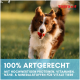 Hund hält eine leere Metallschüssel im Maul mit deutschem Fütterungsempfehlungstext darunter.