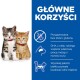 Dwa urocze kocięta, jedno prążkowane, a drugie pomarańczowe, siedzą razem z niebieskim tekstem wymieniającym korzyści: bez zboża, DHA dla zdrowia mózgu i wysokobiałkowe.