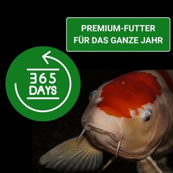 Nahaufnahme eines lebhaften orange-weißen Koi-Fisches mit einem grünen "365 TAGE" Abzeichen und einem Banner "PREMIUM-FUTTER FÜR DAS GANZE JAHR."