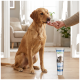 Golden Retriever leckt ein Leckerli von einer Hand neben einer Tube mit der Aufschrift 'SUPPORT OPTIMIZE & CARE' auf einem Parkettboden im Wohnzimmer.