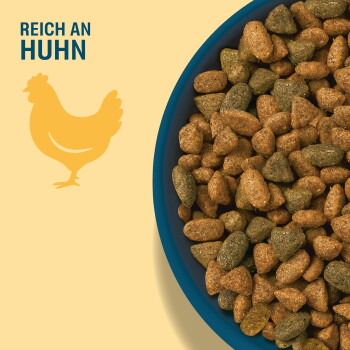 Nahaufnahme einer blauen Schale mit braunen und grünen Kroketten auf gelbem Hintergrund mit einer Hühnersilhouette und dem Text „REICH AN HUHN“.