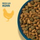 Nahaufnahme einer blauen Schale mit braunen und grünen Kroketten auf gelbem Hintergrund mit einer Hühnersilhouette und dem Text „REICH AN HUHN“.