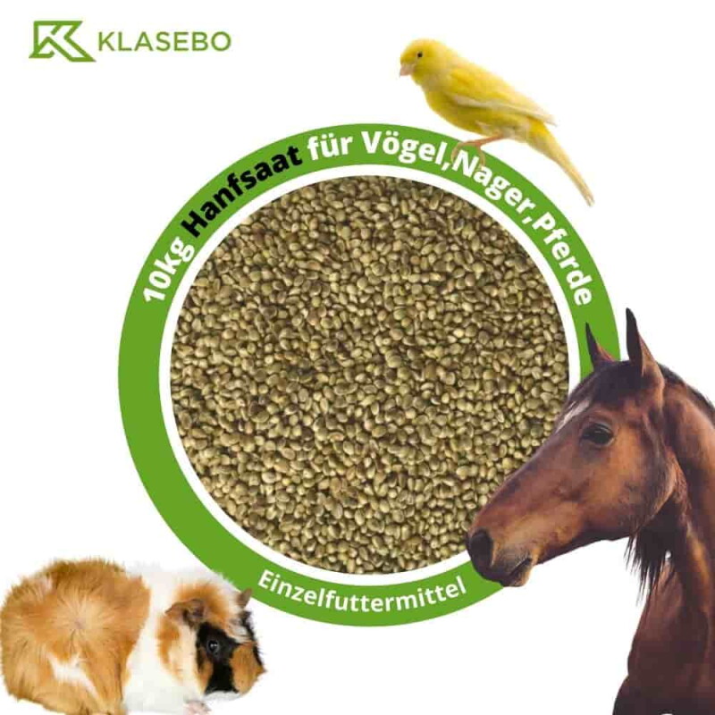 KLASEBO Hanfsaat, Hanfsamen, Futterhanf 10kg für Vögel, Nager und Pferde