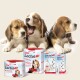 Zwei Beagle-Welpen sitzen neben verschiedenen Beaphar Lactol-Produkten, einschließlich Milchpulver und einem Fütterungsset, auf einem hellen Hintergrund.