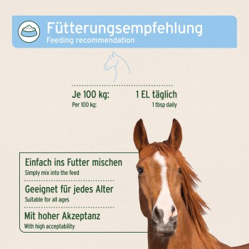 Pferdekopfbild mit Fütterungstipps: "1 Esslöffel täglich pro 100 kg," "In das Futter mischen," "Geeignet für alle Altersgruppen," "Hohe Akzeptanz."