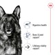 A close-up of a German Shepherd's face with text highlighting benefits: "Digestive health," "Bone & joint support," and "Lifelong vitality support."