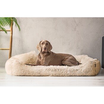 ® PEDRO - Orthopädisches Hundebett mit kuscheligem Langflor beige 1,6 m, 22 cm, 1,1 m
