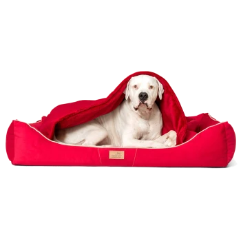 Ein großer weißer Hund, der bequem in einem roten Hundebett ruht, teilweise mit einer passenden Decke bedeckt.