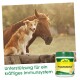 PropolisHerbal 450 g