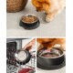 Ein flauschiger orangefarbener Hund schnüffelt an einer schwarzen Futterschüssel, die mit Trockenfutter gefüllt ist, während eine Hand die Schüssel in eine Geschirrspülmaschine stellt.