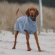 Ein brauner Hund trägt einen weichen blauen Haustier-Hoodie und steht an einem sandigen Strand, mit Gras und einem Pfosten im Hintergrund.