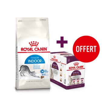 Sac de nourriture pour chat Royal Canin Indoor 27 avec une offre promotionnelle pour un pack gratuit de nourriture pour chat Royal Canin Sensory, avec une étiquette rouge "OFFERT".