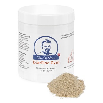 Dr. Hölter DiarDoc Zym Verdauungsenzyme Pulver 250 g