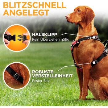Ein brauner Hund in einem Geschirr steht auf Gras, mit dem Text: "Schnell verstellbar," "Kein Ziehen nötig," und "Robuste Passform."