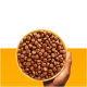 Une main tenant un bol jaune rempli de croquettes pour animaux de compagnie rondes et brunes sur un fond orange vif.