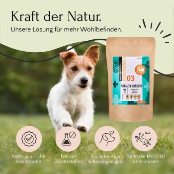 'Mobility Kräuter' Haustier-Supplementverpackung, mit Symbolen für 100% natürliche Zutaten, ohne Zusatzstoffe, für alle Altersgruppen und Unterstützung der Mobilität.