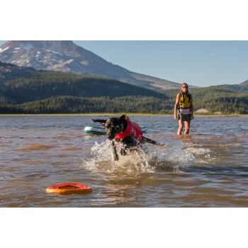 Ein schwarzer Hund, der eine rote Schwimmweste trägt, spritzt durch das Wasser, während er einem Frisbee nachjagt, mit einer Person im Hintergrund nahe einem See und Bergen.