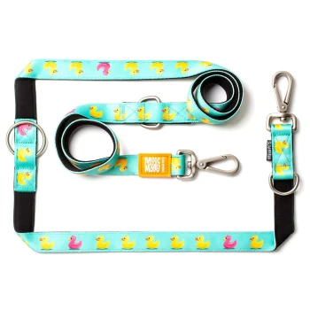 Blaues Hundeleinen- und Geschirrset mit gelbem und pinkem Gummientenmuster, Metallclips und „Max & Molly Urban Pets“ Etikett.