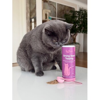 Graue Katze schnuppert an einer pinken 'KatKare Strong Heart Topping'-Dose mit Schaufel und einem Haufen Pulver auf dem Tisch.