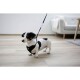 Ein kleiner schwarz-weißer Hund, der ein schwarzes Geschirr trägt, steht auf einem Holzboden, mit einer angehängten Leine, in einem modernen Wohnzimmer.