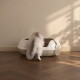 Eine beige Katzenstreuschaufel mit einem perforierten Design und einem Haken zum Aufhängen, vor einem weißen Hintergrund.